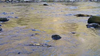 The Little River at Golden Hour