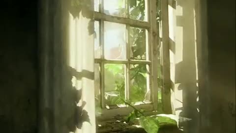 Morning in the village