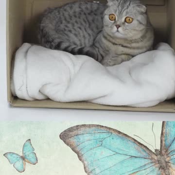 What I really like is to be enjoying a sound in my box ... good.