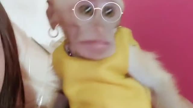 I laughed myself when I saw this monkey