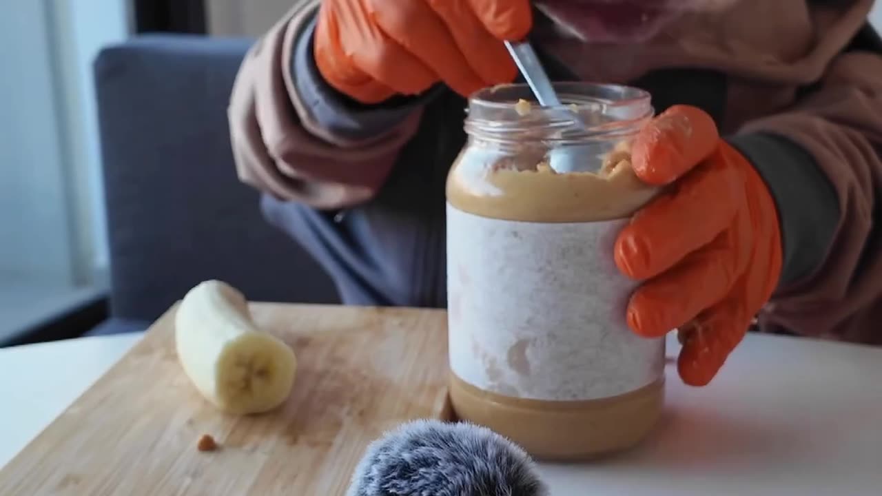 Choco’s Banana & Peanut Snack eating with hands | vividrumble