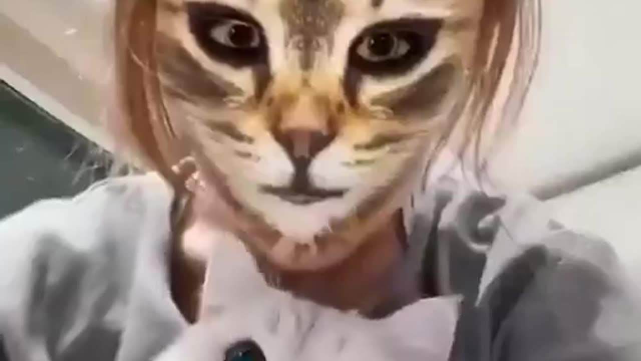 The way these cats react