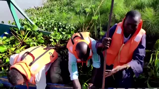 Kenyan entrepreneur turns water weeds into fuel