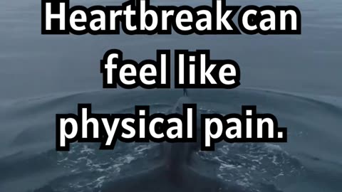 Heartbreak Science