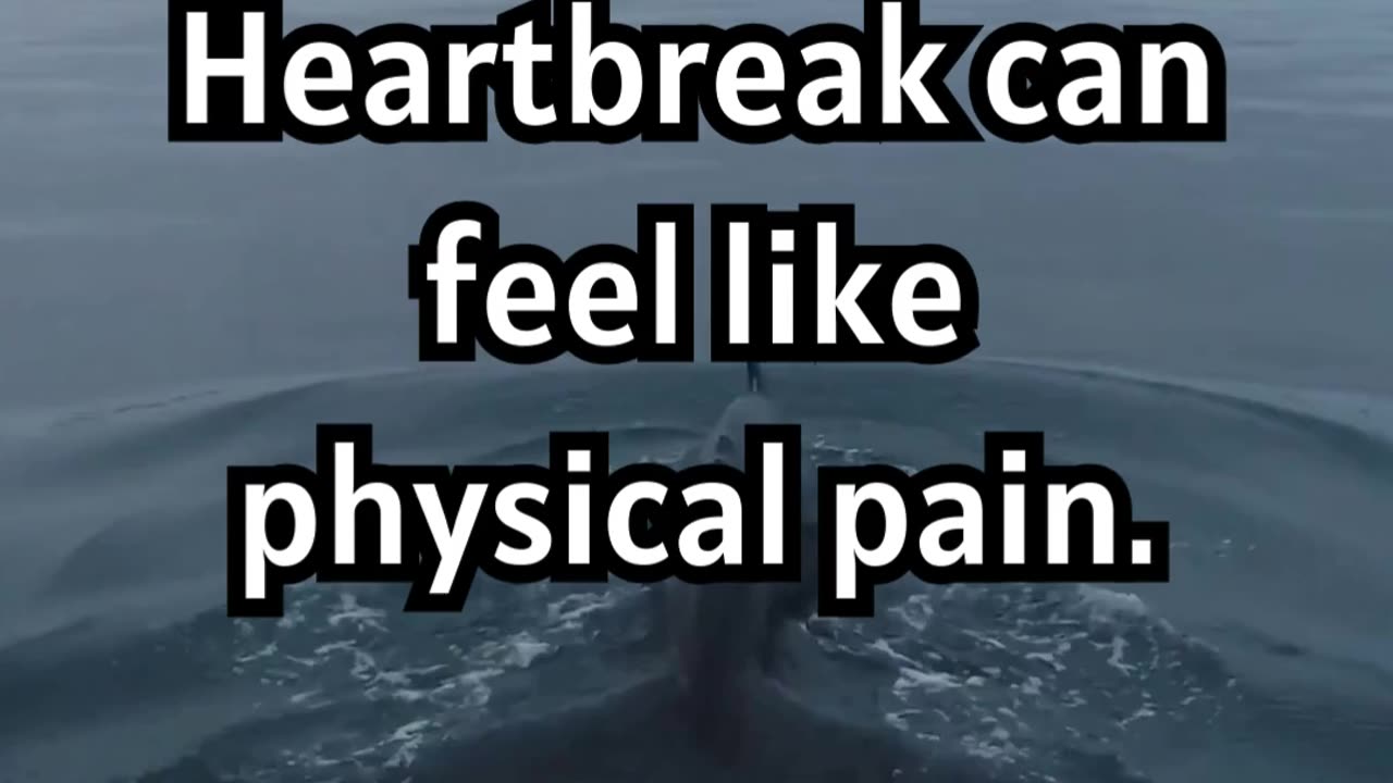 Heartbreak Science