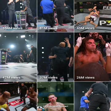 Why do you love The UFC?
