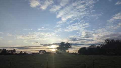 Pasture Sunset