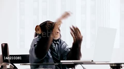 Chimp Laptop Clapping