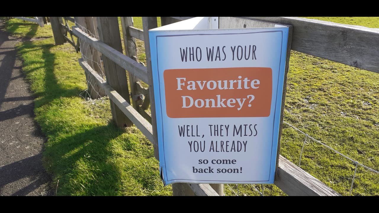 The Isle of Wight Donkey Sanctuary, Wroxall, England, 28-01-2024