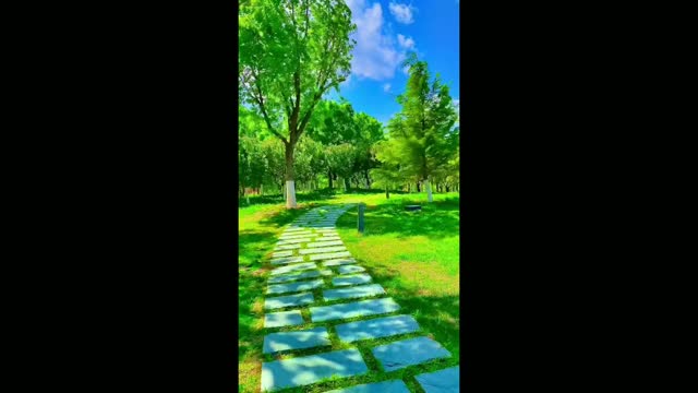 Quiet and beautiful path