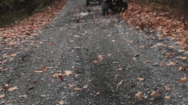 Kickin Up Leaves