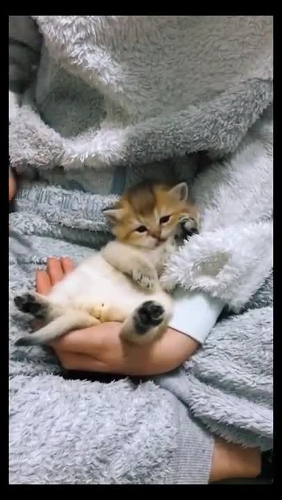 Animals SOO Cute to ,see