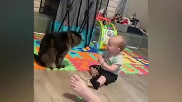 😂😂😂😂😂Kids meeting with animals for the first time