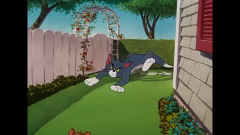 Tom & Jerry