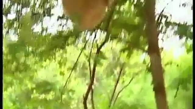 Mischievous monkey blocked with prey.