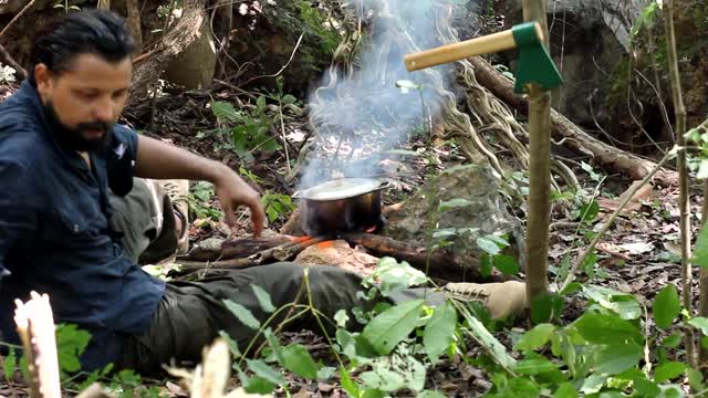 Sobrevivendo no meio da floresta para acampar