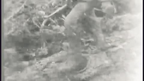 Wehrmacht grenadiers.