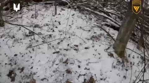 Incredible Footage from Ukrainian Reconnaissance Group in Kursk