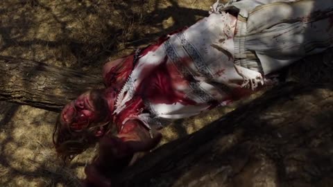 Shahad tiger and man on the tree. attempt to escape