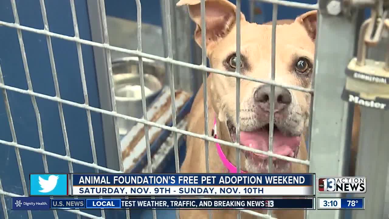 Free pet adoptions this weekend