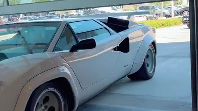 Automobile appearance display