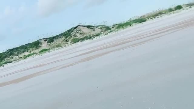 Anastasia Island adventure