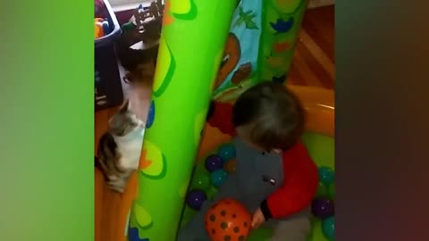 The sweetest children playing with the sweetest cats