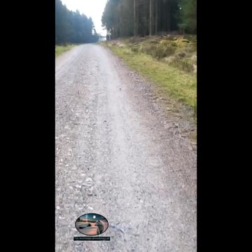 Hiking. What's that noise????