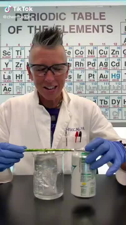 PLASTIC LINING IN ALUMINUM SODA CANS!