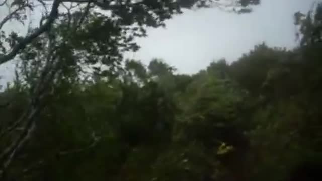 _IRENE BLOWS_ Hurricane Irene 2011 Amagansett, NY..WOOHOO