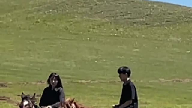 Horse galloping