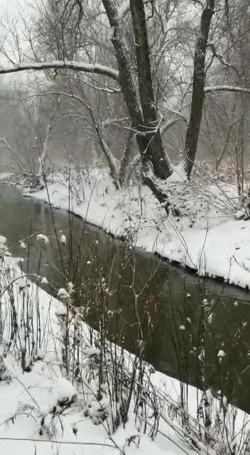 Snowy day in Brampton