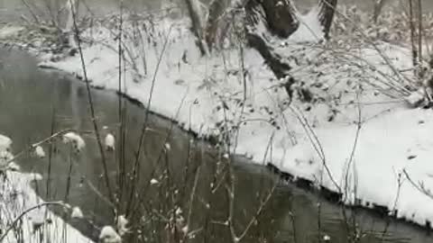 Snowy day in Brampton