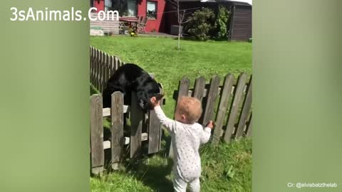 Adorable Babies playing with baby dogs