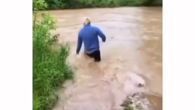 The Best Video Memes Ever #5 | Short Funny Videos