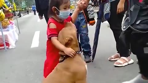 Baby and dog video