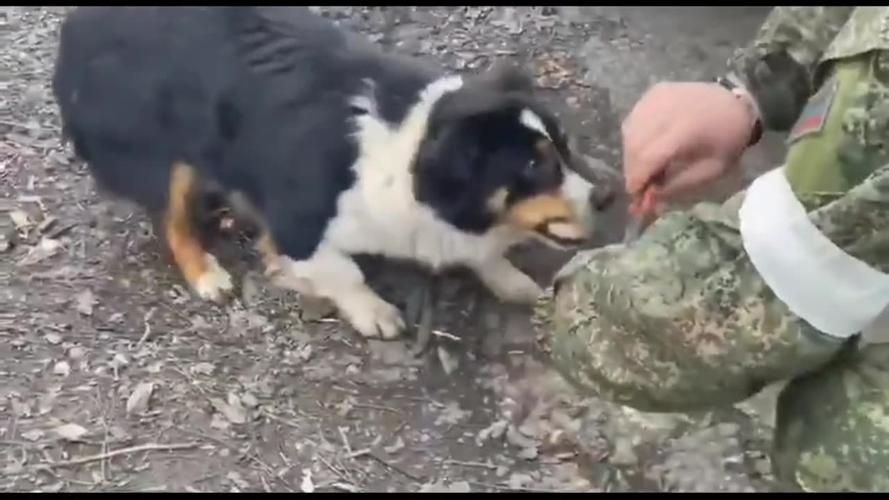 Kind Russian Soldiers