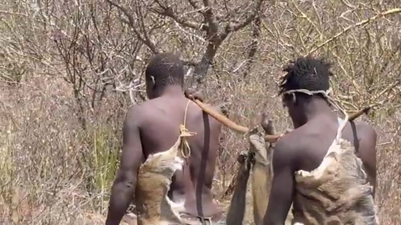 Hadzabe tribe hunting tradition to have foods and their cultural values🏞️