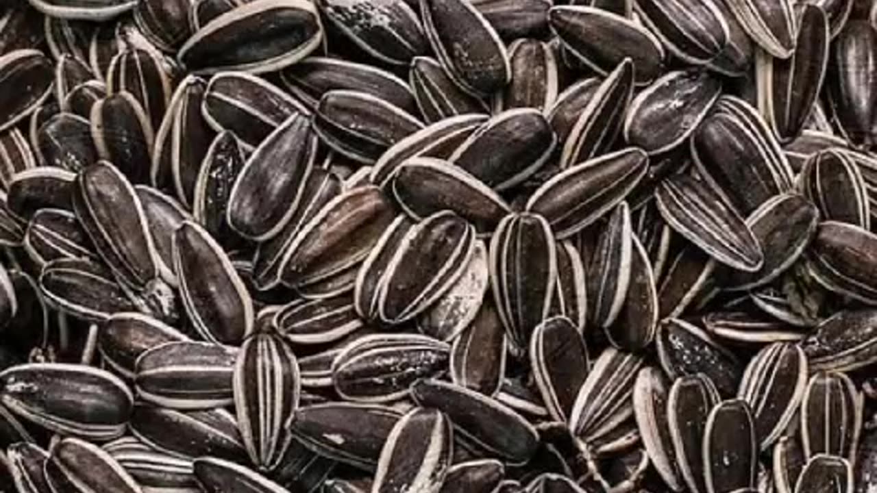 Sunflowerseeds Benefits in Winters...