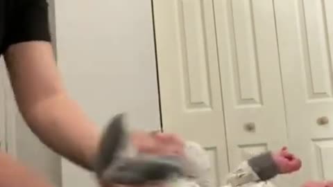 Funny farting baby || Funny Videos ||