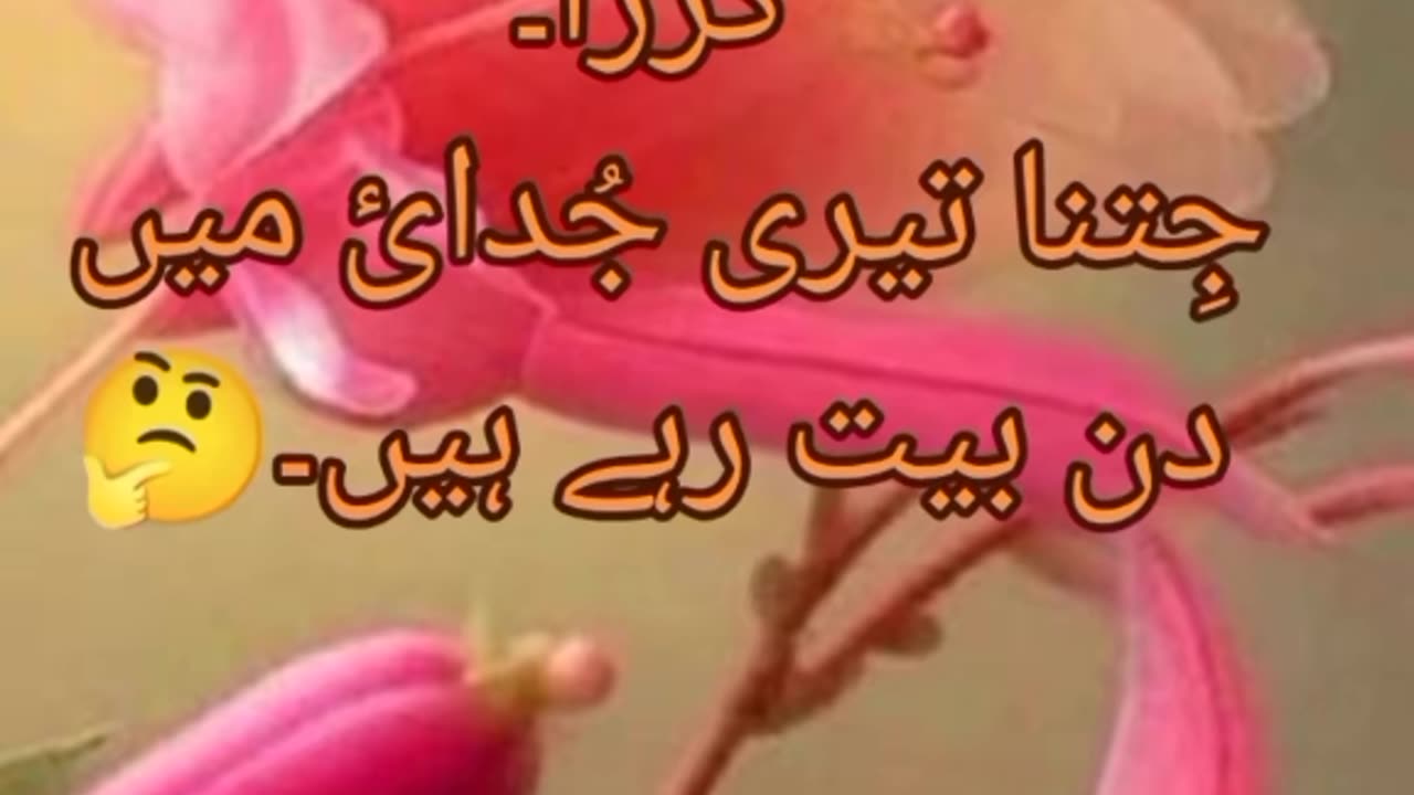 Urdu poetry.