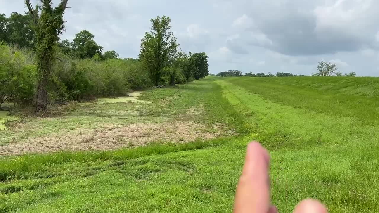 EL RÍO MISSISSIPPI