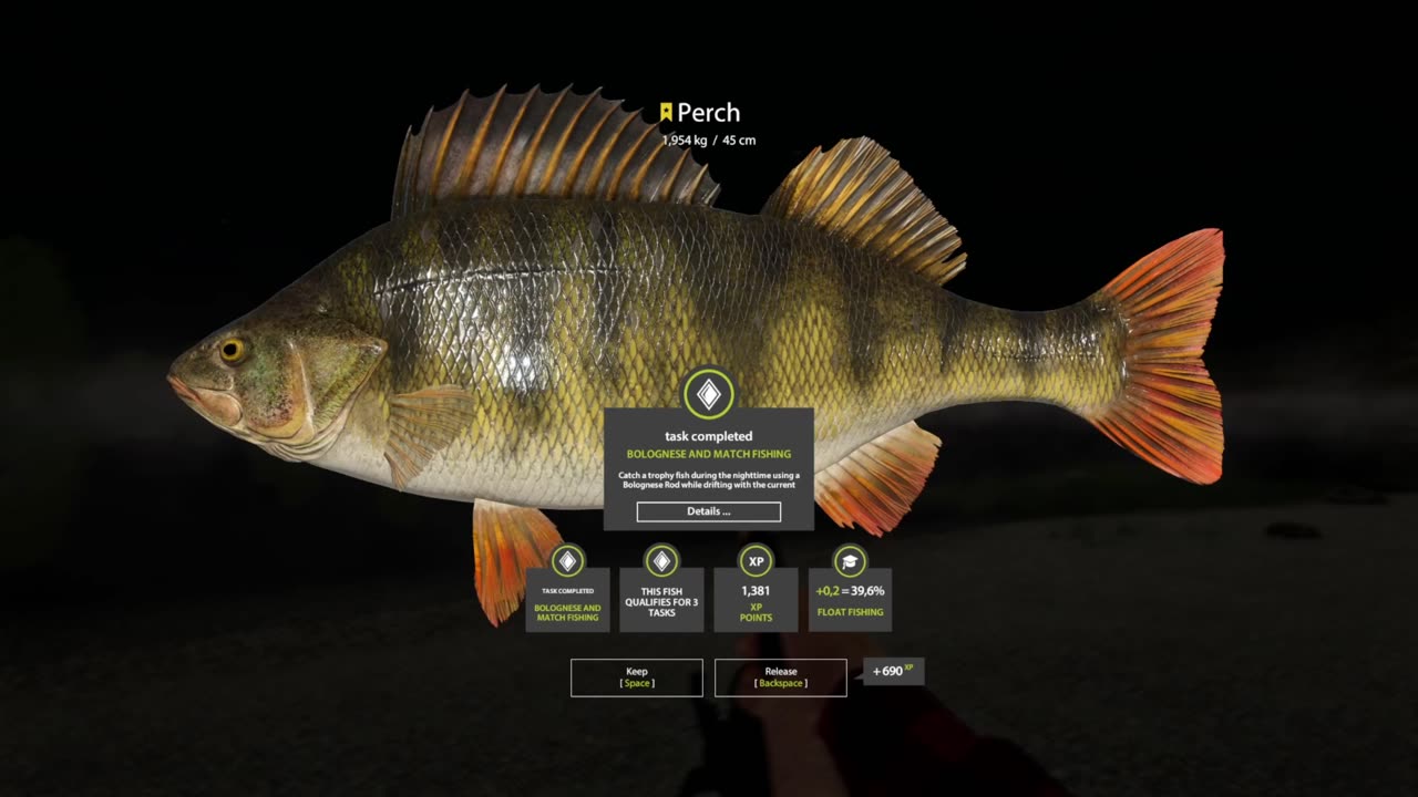 Task completed, Bolognese and Match fishing, trophy Perch, Belaya river, Russian fishing 4 pc game