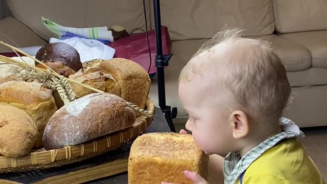 Kid bites cake