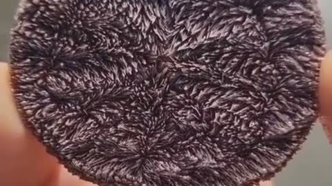 What on earth could this be?