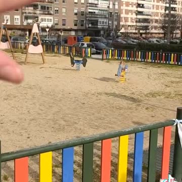 La pandemia delle insensatezze