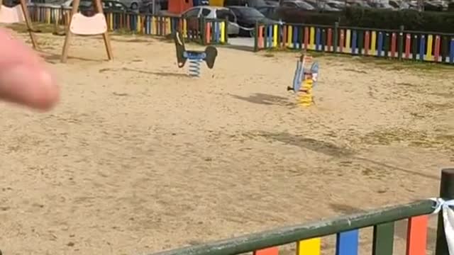 La pandemia delle insensatezze