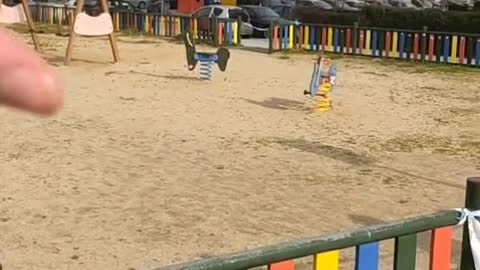 La pandemia delle insensatezze