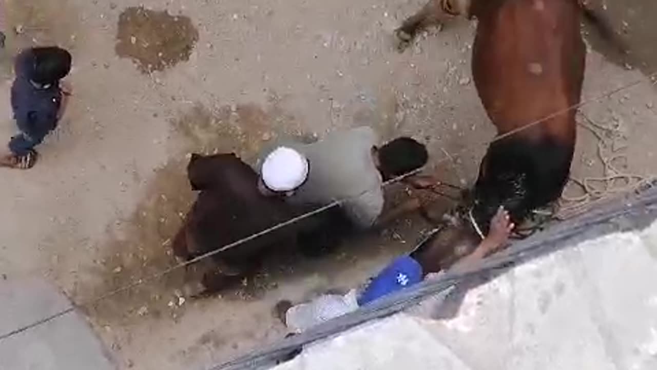 Sacrifice