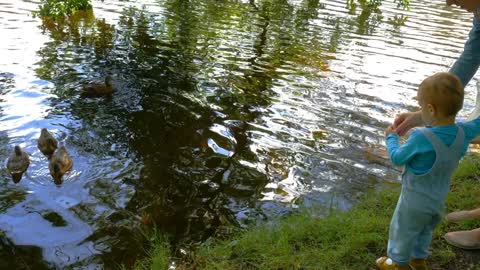 Mother and her baby boy are feeding ducks in a park lake